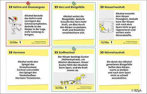 Richtig-oder-Falsch-Spiel in der interaktiven Übung "Alkoholwirkung". Bild: BZgA