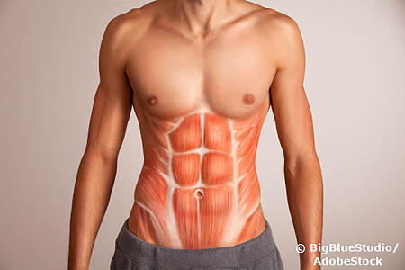 Waschbrettbauch oder Sixpack: Bauchmuskeln eines jungen Mannes. Foto: BigBlueStudio/AdobeStock